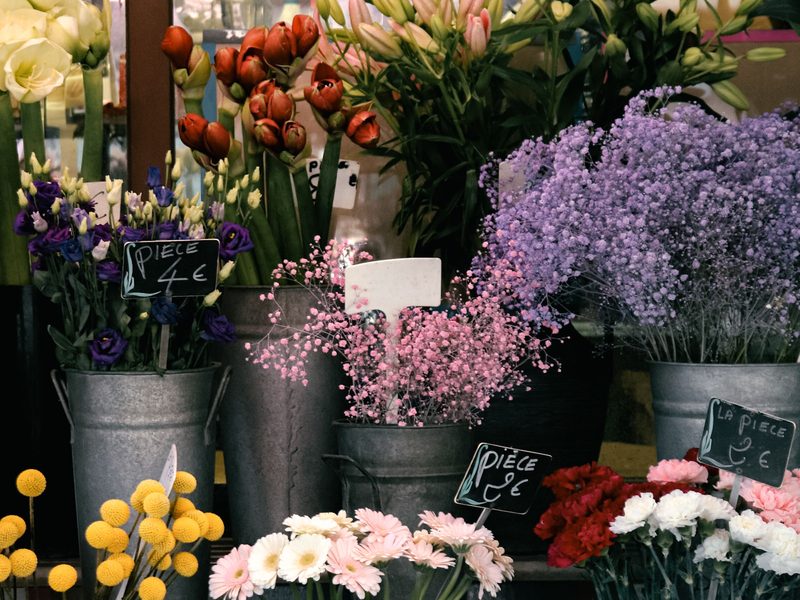 Création de site internet pour fleuriste à Lyon · Driver Web