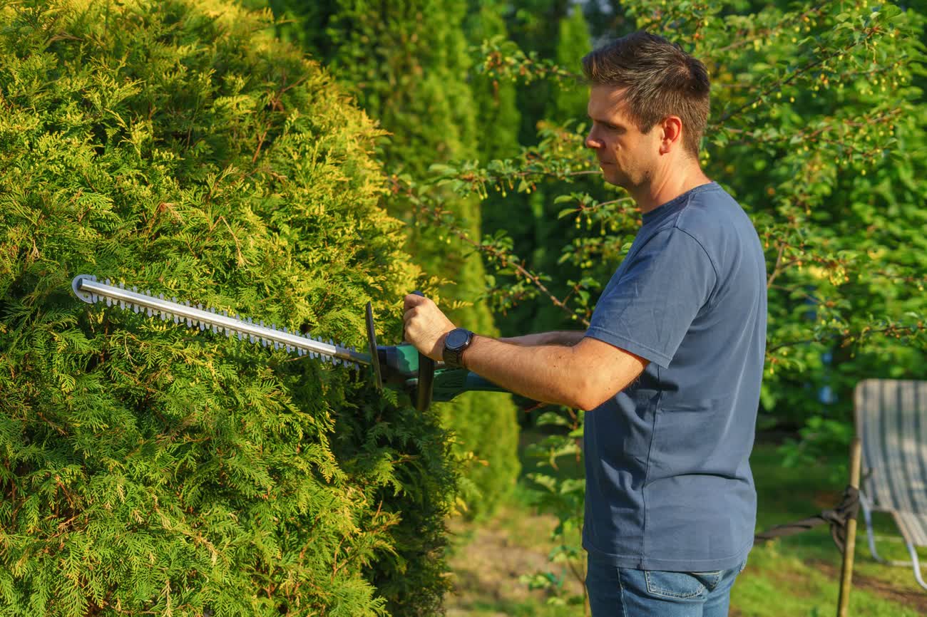 Avant les travaux : le terrain d'origine
