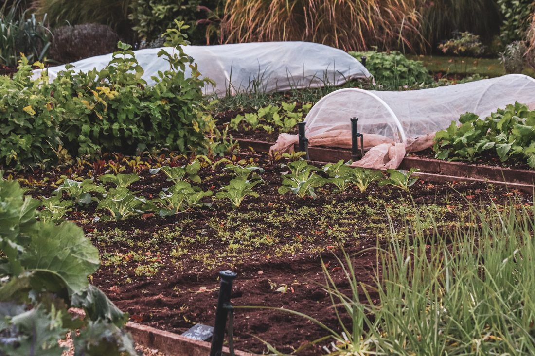 Potager sur-mesure
